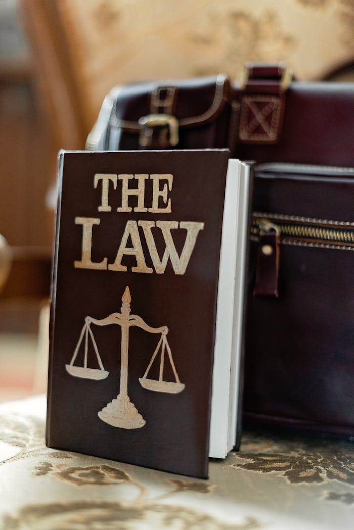 team-03 Close-up of a law book titled 'The Law' beside a leather briefcase.